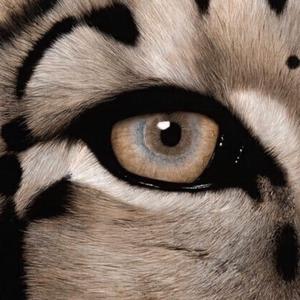 久草国产在线观看
