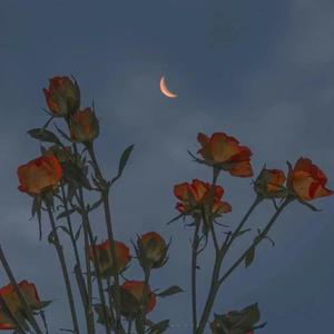 久草国产在线观看
